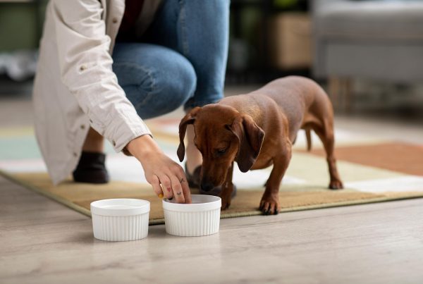 Blog-Double-Feeding