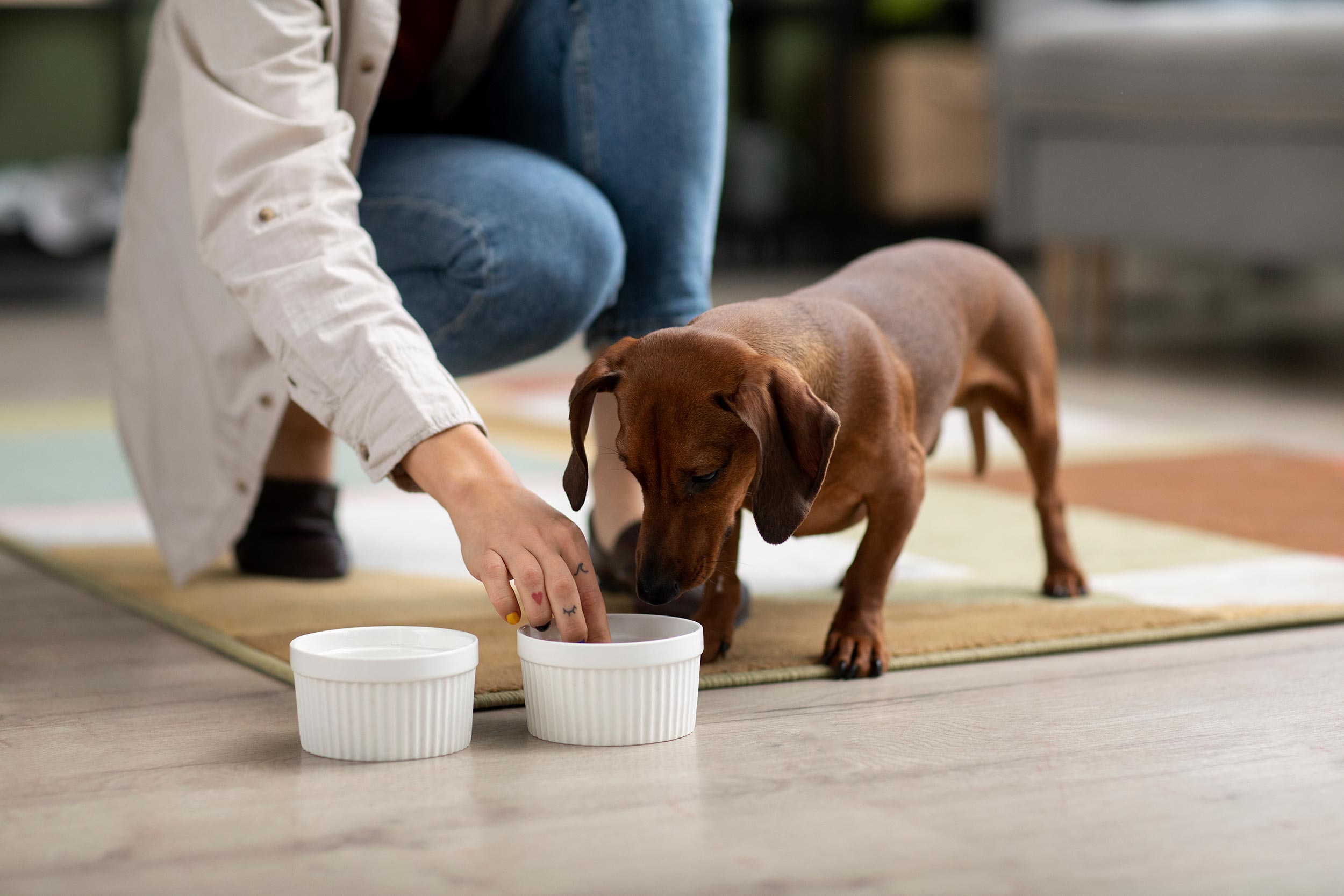 Blog-Double-Feeding